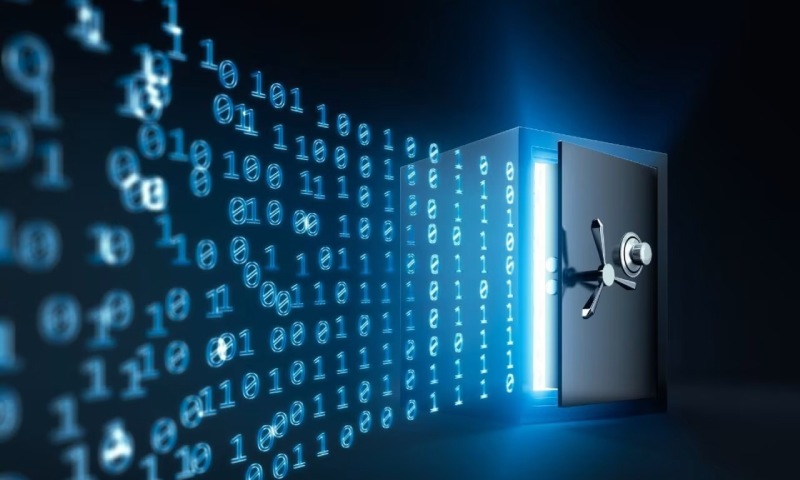 望花区软件定制新篇：Python领航，精准契合个性化需求